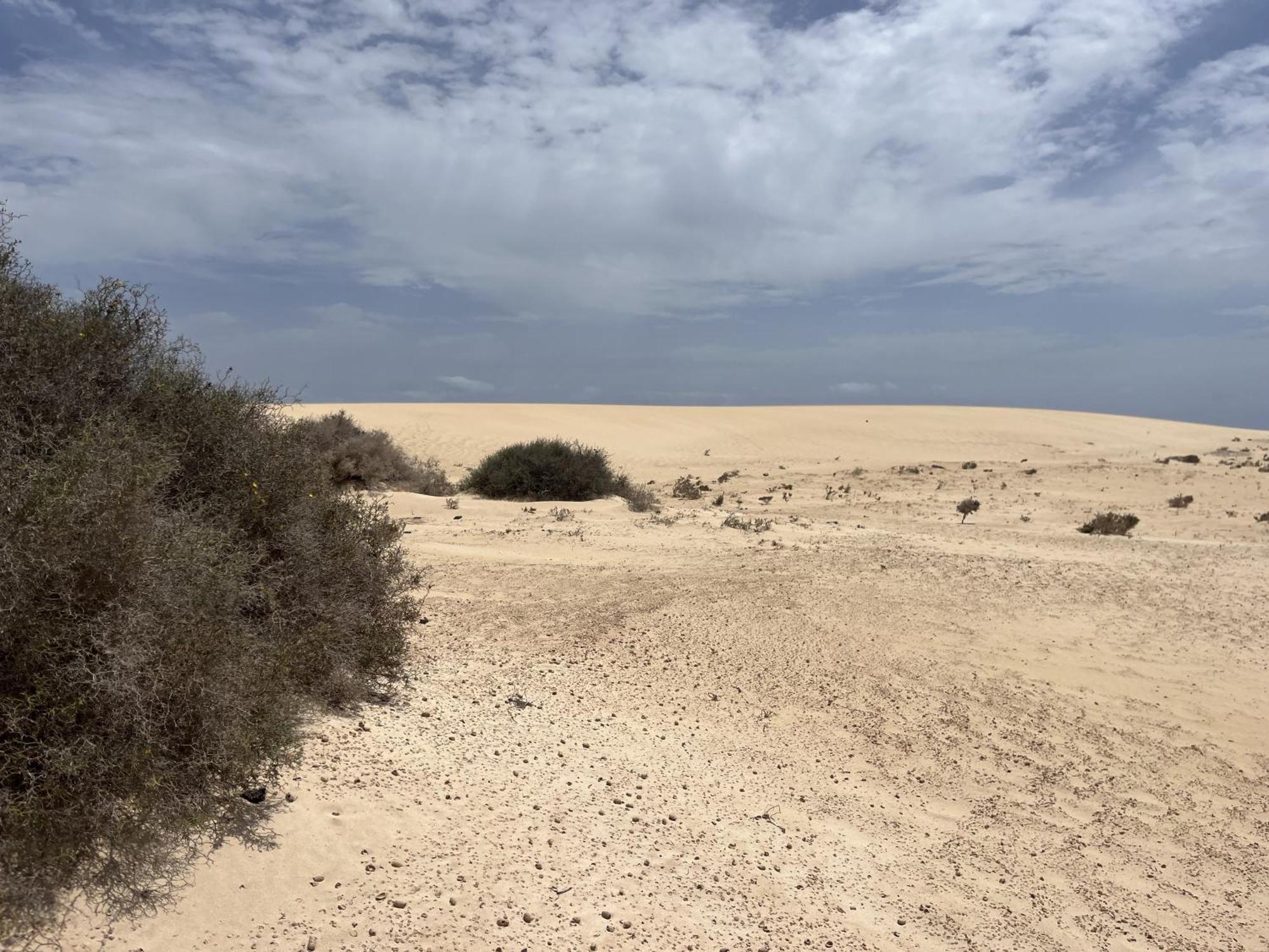 Villa Bf Paraiso De Tranquilidad Villaverde  Kültér fotó